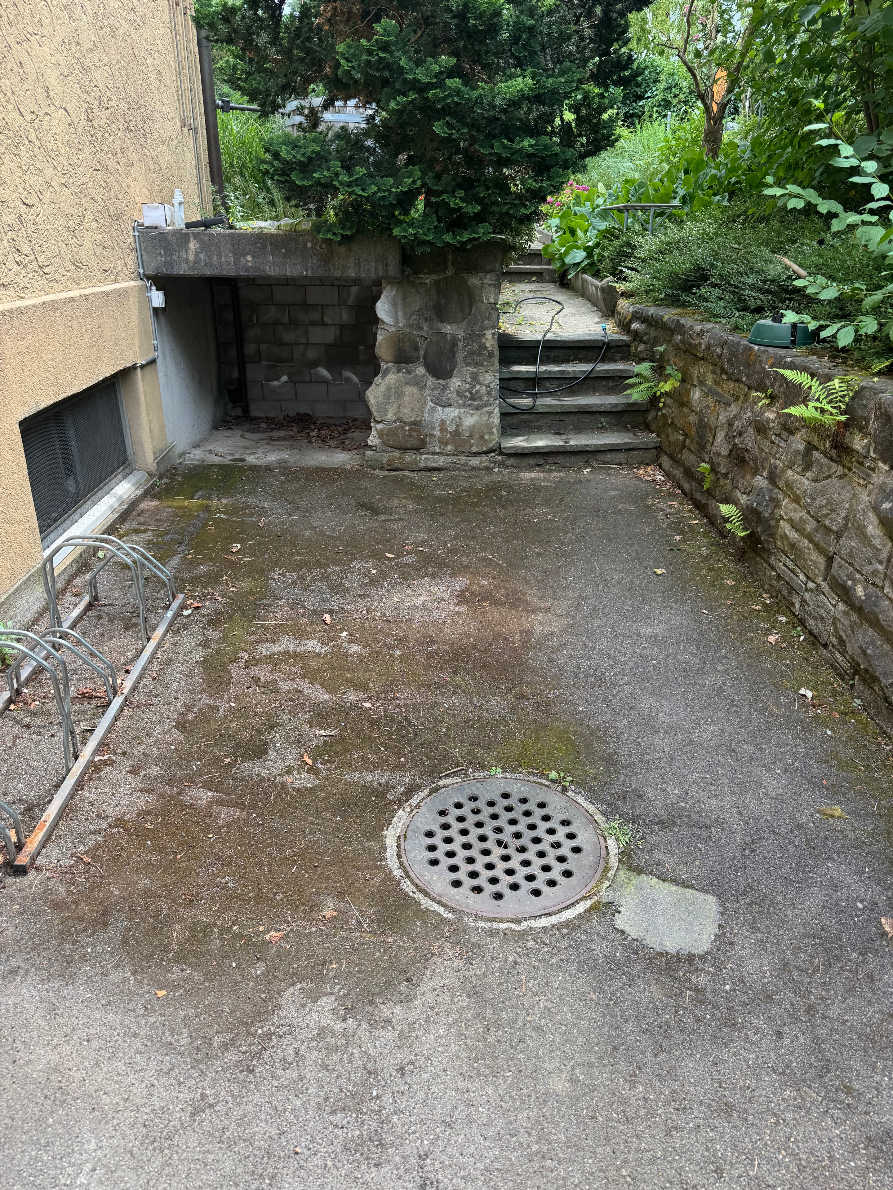 Vorher ungereinigt